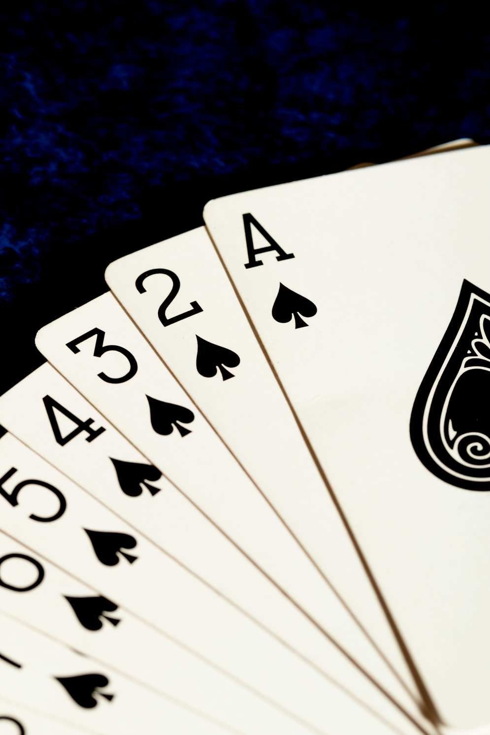 https://robycasino-ca.com